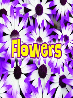 cover image of All about Flowers